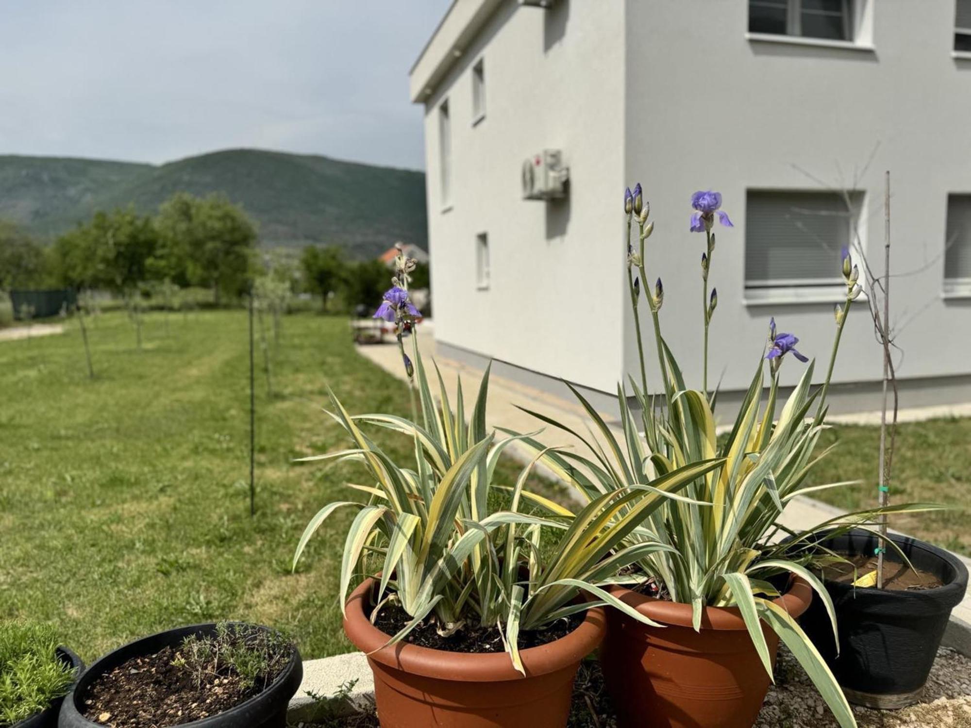 Villa Aqua Mostar Exterior photo